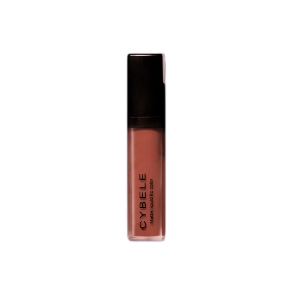 CYBELE Matte Liquid Lip Color 102 Brown