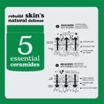 Beesline Everyone Barrier Cream - Image 2
