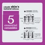 Beesline Future Barrier Cream - Image 2